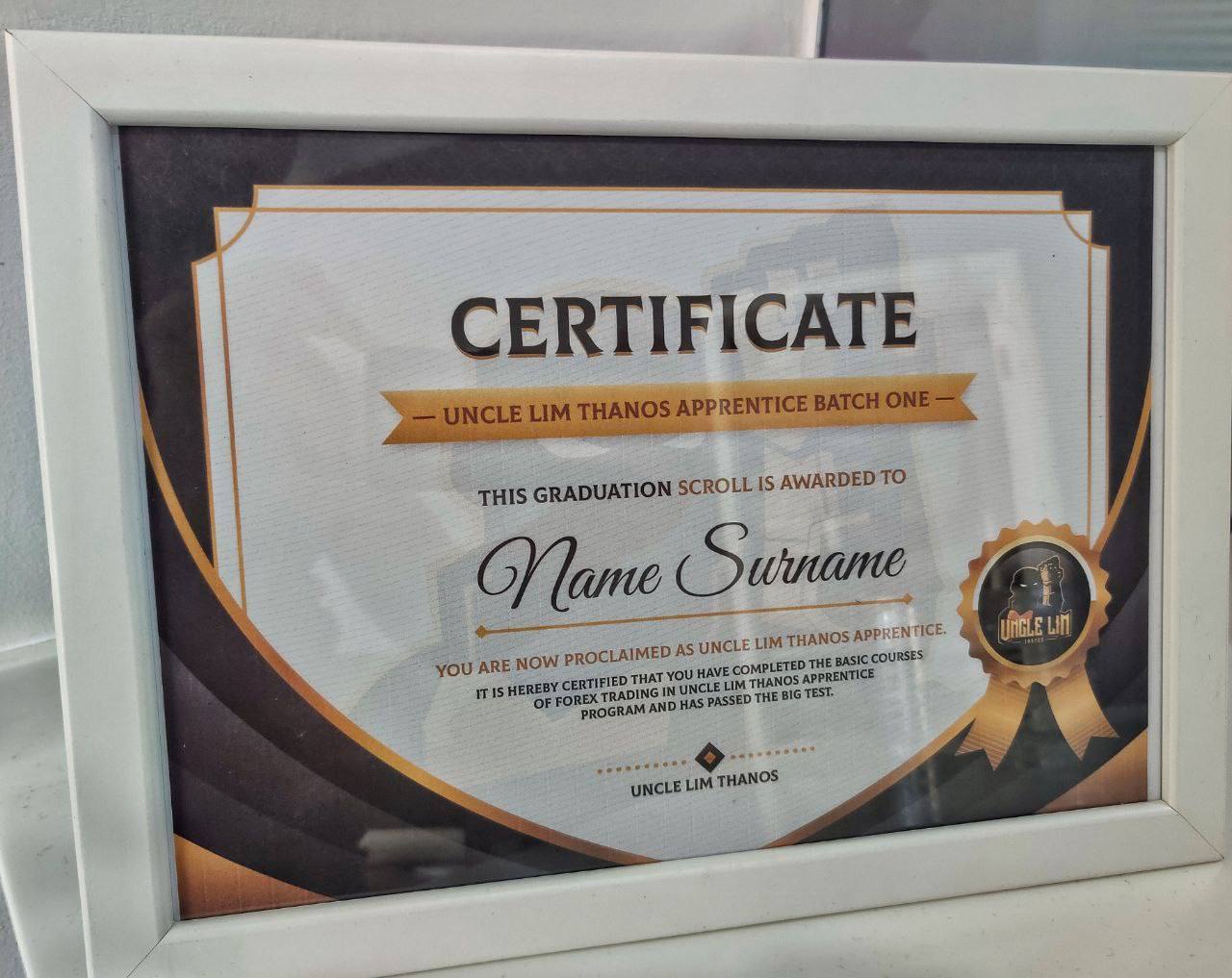 Certificate of mentorship